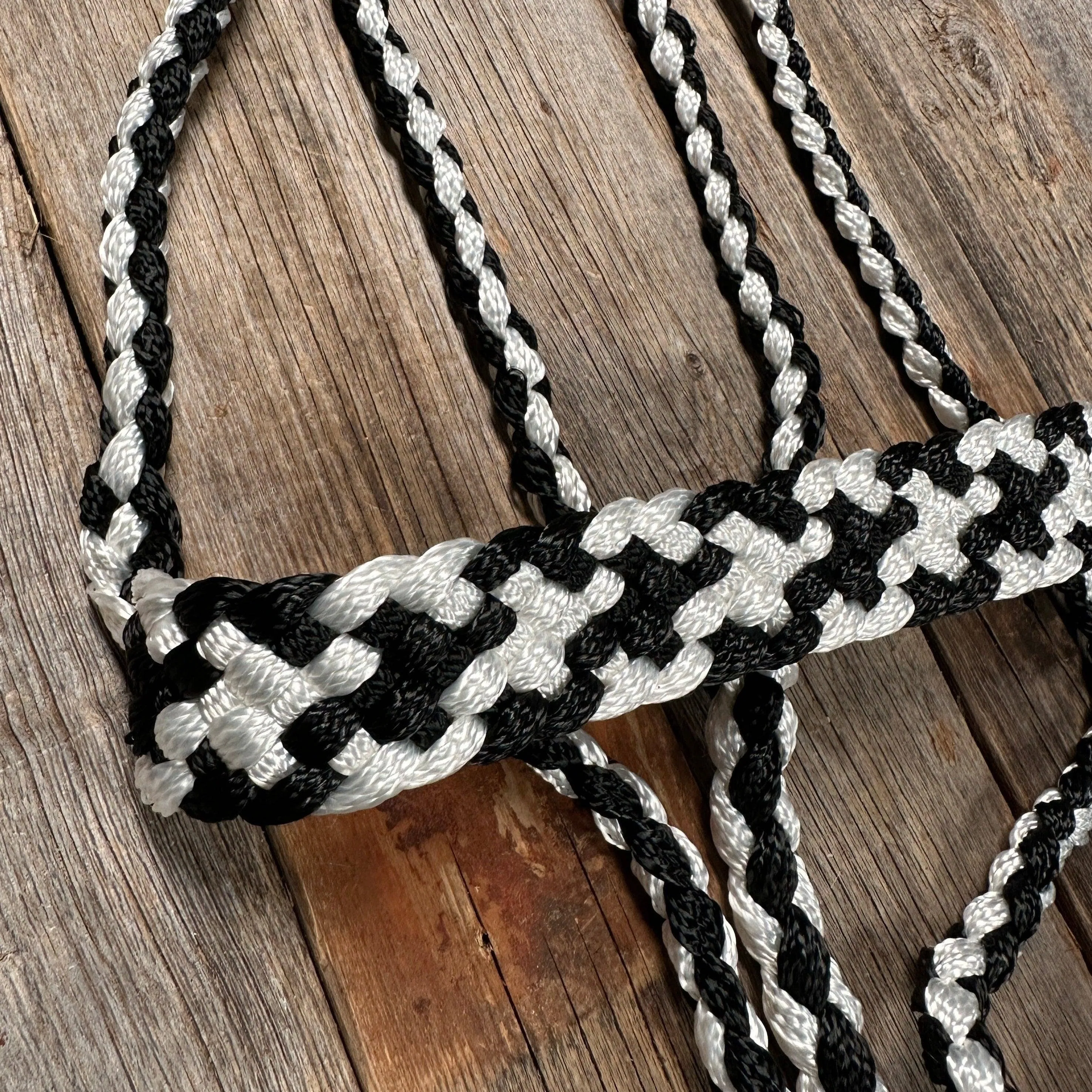 Black and White Mule Tape Halter
