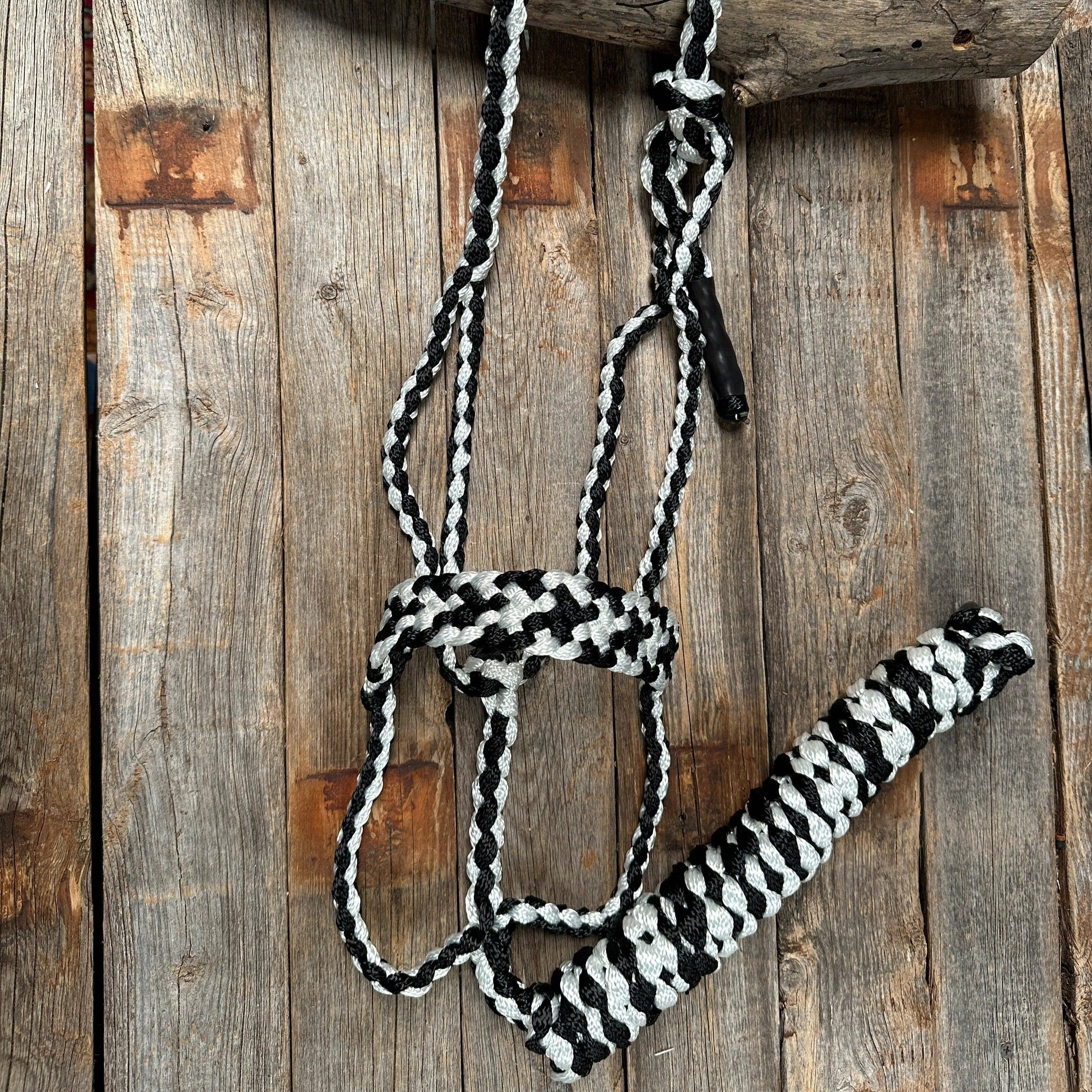 Black and White Mule Tape Halter