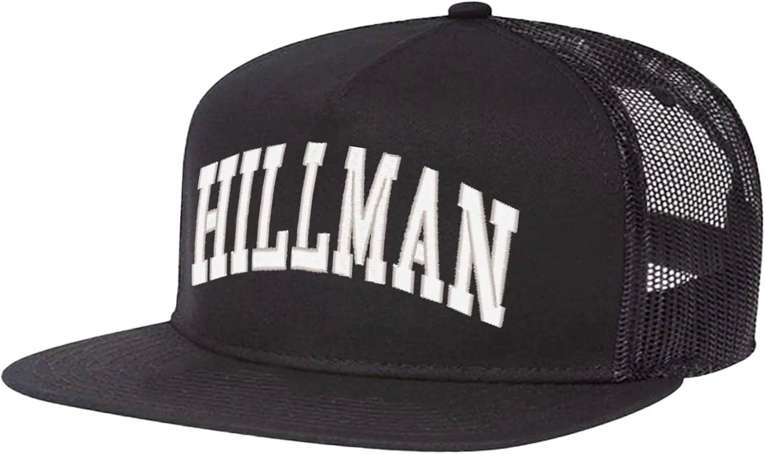 Embroidered Hat Retro 80's HBCU Apparel TV Sitcom Cap Perfect White Elephant Gift for Men and Women