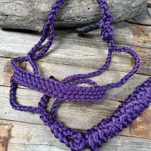 Mule Tape Halters - Assorted Colors-: PURPLE